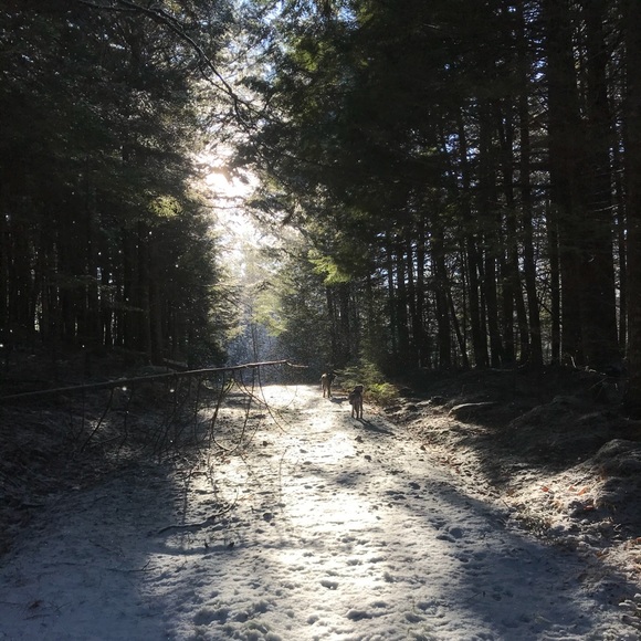 Meet your Posher, S - Picture 1 of 2